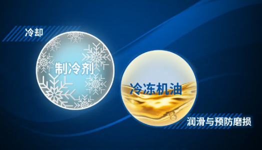 聽說(shuō)國(guó)際大(dà)咖都是(shì)“高冷”範